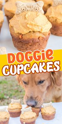 Dog Cupcakes