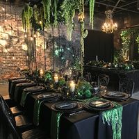 Use the combination of hanging greenery, black decor and soft lighting to create a Wicked themed party set up!