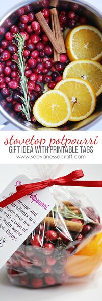 Christmas: Stovetop Potpourri Gift Idea - See Vanessa Craft