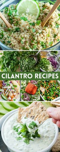 These fun and flavorful fresh cilantro recipes are not to be missed! This tasty collection features everything from dips and dressings to tacos and salads galore. I love pureeing cilantro into dips, sauces, and dressing recipes and it’s equally epic topped on tacos, salads, nachos, and even soups! These rockin’ recipes are ones I make again and again and can’t wait for you to give them a try!