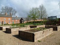 Raised vegetable beds using New Pine Railway Sleepers