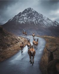 Scottish Highlands