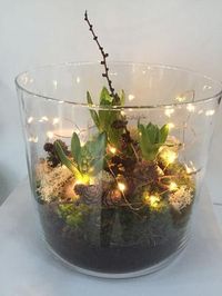 Bekijk de foto van marjolein131 met als titel mini tuintje , voorjaarsbollen met led draad verlichting ... gedeeld door marjolein 131 en andere inspirerende plaatjes op Welke.nl.