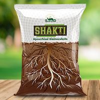 Sunfield Agro Shakti VAM Mycorrhiza Root Growth Booster & Essential Organic Plant Fertilizer Enriched with Power of Humic Acid and Seaweed Extract (1 Kg)