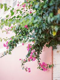 Explore the atmosphere of this greek island Corfu by car to see the most amazing & instagramable places, travel wish list | Yana Schicht Photography | Destination Fine Art wedding photographer in Greece, Corfu, Italy, Germany and Austria