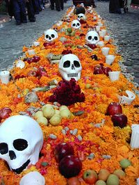 Trail of flower petals and fruit to guide the departed - Mexico