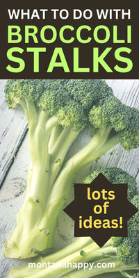 Broccoli Stalks - What to do with Broccoli Stems - Fresh Broccoli - If you're looking for food waste hacks, you've come to the right article. You'll find lots of ideas! / How to Prevent Food Waste / Kitchen Scraps / How to Reduce Food Waste / Zero Waste Home / Zero Waste Kitchen / zero waste lifestyle / waste free living / zero waste kitchen / kitchen scraps