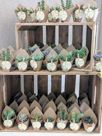 The cactus party favors at this rustic boho baby shower are gorgeous! See more party ideas and share yours at CatchMyParty.com #catchmyparty #partyideas #rusticbohobabyshower #cactuspartyfavor #rusticbabyshower #rusticpartyfavor