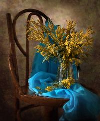 #beauty of #still #life #photography • photo: Весна, мимоза | photographer: Ирина | WWW.PHOTODOM.COM