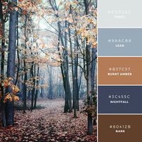 Build Your Brand: 20 Unique and Memorable Color Palettes to Inspire You – Design School