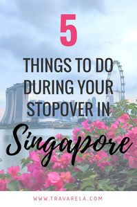 Discover 5 things to do during your stopover in Singapore! Marina Bay Sands, Chinatown, museums, and more!