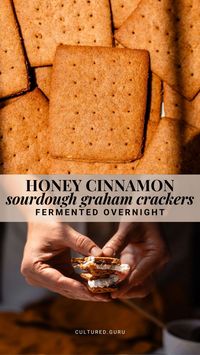 These honey cinnamon sourdough graham crackers are fermented overnight for easier digestion and the best flavor. You can use sourdough discard or an active starter. Kids love these perfectly crispy, wholesome, and delicious cinnamon graham crackers! #sourdough #grahamcrackers #crackers