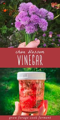 Chive Blossom Vinegar: Infusing Vinegar Recipes - This chive blossom recipe is perfect for adding a special touch to any dish! Infusing delicious white balsamic vinegar with fresh, edible flowers creates a beautiful, flavorful vinegar that can elevate the flavors of any dish. With 2 ingredients you can easily create your own delicious chive blossom vinegar to add a delicious and unique flavor to your favorite recipes this summer.