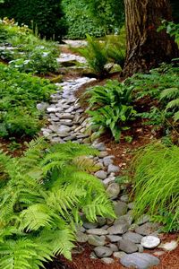 a pebble dry creek with greenery along