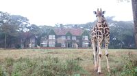 The Safari Collection: Giraffe Manor, Nairobi.