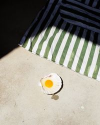 Still Life Photography by Ester Grass Vergara – Design. / Visual.