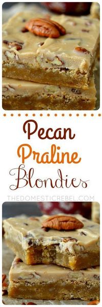 These Pecan Praline Blondies are a wonderfully EASY and DECADENT recipe! Made in ONE pot (both the frosting and the blondies), they're sweet, crunchy, gooey, chewy and utterly delicious.