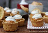 Oh pumpkin season – ’tis the time to enjoy all the amazing pumpkin recipes. After all, Pinterest is all a buzz with everything from Pumpkin Pie to Pumpkin Bread – to Pumpkin Muffins. These Mini Pumpkin Mousse Pies are not made with your typical pie crust though. Nope, they start with my new favorite –...