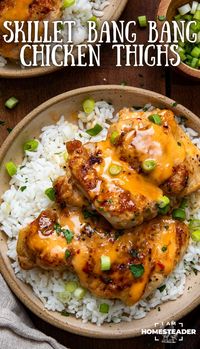 Skillet Bang Bang Chicken Thighs are seasoned boneless, skinless chicken thighs cooked to juicy perfection in a skillet, and then coated in a creamy, slightly spicy homemade Bang Bang sauce. And, this main course can be on the table in less than 30 minutes! It’s such a simple recipe but packed full of flavor.