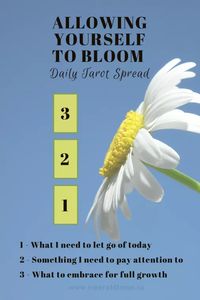 Tarot Spread - Allowing Yourself to Bloom - Emerald Lotus Divination