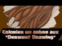 Art-Thérapie Adultes: Tuto Colo: "Arbre" (Matériel: Derwent Drawing) - YouTube