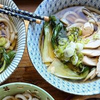 J. Kenji López-Alt on Instagram: "Easy dinner after a long drive today. Frozen udon, book Choy, scallions, sliced Costco rotisserie chicken, and super simple homemade broth (85% dashi (made with kombu, katsuobushi, and niboshi), 5% mirin, 10% soy, season to taste with salt and sugar)."