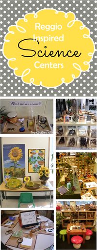 Preschool Ponderings: Reggio Inspired Science Centers