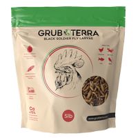 Get Best Dried Black Soldier fly Larvae Feed For Chicken, Ducks & Wild Birds - GrubTerra