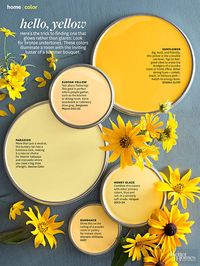 Here comes the sun! These perfect yellow picks emit a beautiful glow.                         Get an iPad subscription and try out different wall colors.