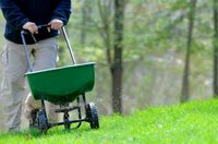 HomeZada | Fertilize the lawn in summer