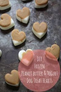 DIY Frozen Peanut Butter and Yogurt Dog Treats. Plain organic Greek yogurt, natural peanut butter.