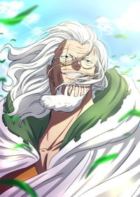 #anime#onepiece#rayleigh