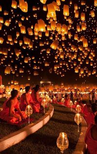 A beautiful night in thailand!  it’s look like a magical creature. If you want a magical night, then go to thailand. 💥💫