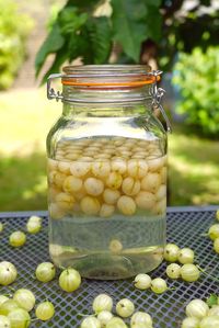 Victoria's gooseberry gin recipe makes the most of these gloriously tangy berries, perfect for a host of refreshing cocktails.