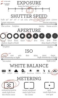 You bought a beautiful DSLR or mirrorless camera but you are still using the automatic mode for all of your photos? I can imagine that you are overwhelmed and impressed by the features of your camera, but learning the manual settings on your camera can help you truly master the camera and its many settings – […]