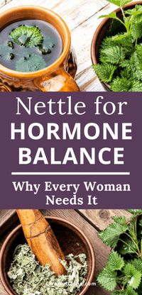 Stinging nettle is one of the most important hormone balancing herbs that you can add to your hormone balancing diet. It can be used as a hormone balancing tea and added to hormone balance recipes. This post gives you all the benefits of nettle leaf for hormonal imbalance symptoms like hormonal hair loss, hormonal acne and more. By the end of this post you will see why this is one of the best hormone imbalance remedies.