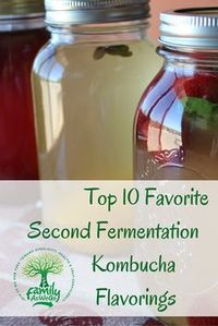 10 Best Kombucha Flavorings a how to carbonate your kombucha