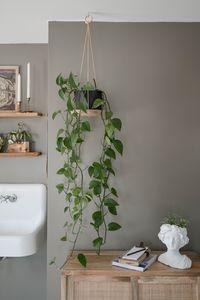 Bring beauty to your walls with our unique, handmade round hanging shelf that is perfect for displaying your houseplants. Because the shelves are made from raw, reclaimed wood, the color may vary slightly from the photo. They include a genuine leather cord for hanging. Wood size: 8.5" diameter, 1.5" high Overall hanging size: 26" high Shipping price: $5 (within continental US), email for int'l shipping rates.