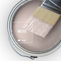 Malted - Mauve Paint Color – February Color of the Month | Colorfully BEHR