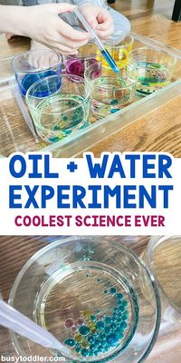 Oil and Water Science Experiment for Kids - Busy Toddler