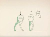 Horse walk animation