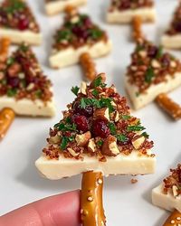 Candied Pecan and Cranberry Brie Bites