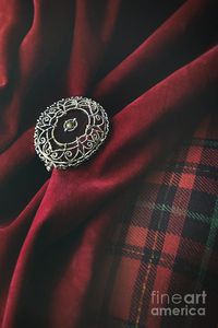 Brooch With Red Velvet And Green Plaid Photograph