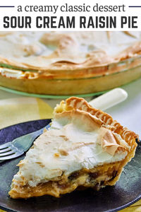 This classic pie has a smooth creamy sour cream filling dotted with raisins. Top it with a sweet meringue for a great pie experience.