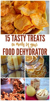 15 Tasty Treats to Make in Your Food Dehydrator