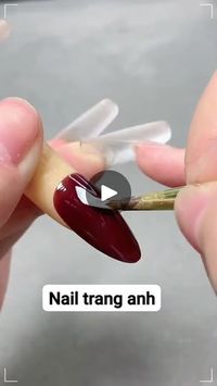 1M views · 20K reactions | Vẽ hoa cúc
#nails #songel #nailsart #mongup #trend #xuhuong #reels #xuhuong2024 | Nails Tranganh