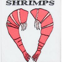 Image result for shrimps logo