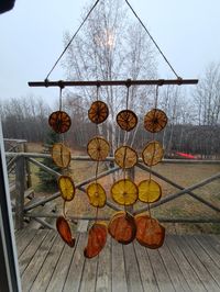 suncatcher made with dried citrus