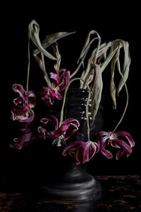 Photographie d'un bouquet de tulipe séché dans un vase funéraire