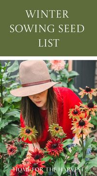 Looking for a winter sowing seed list? Here is a big list of all the different types of plants you can winter sow, separated into categories like perennial flowers, hardy annuals, vegetables, and herbs. Contents show Winter sowing seed list Perennial flower seeds to winter sow Annual flower seeds to…